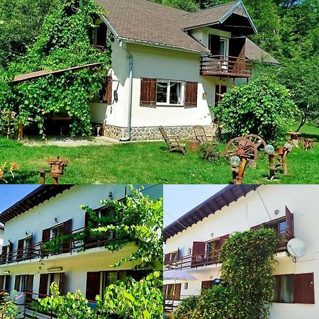Complex Adela Transfagarasan Villa Cîrţişoara Dış mekan fotoğraf