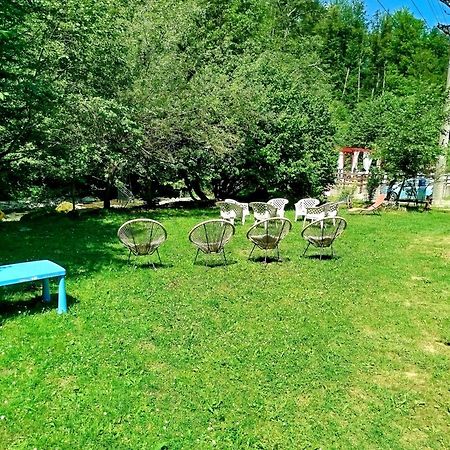Complex Adela Transfagarasan Villa Cîrţişoara Dış mekan fotoğraf