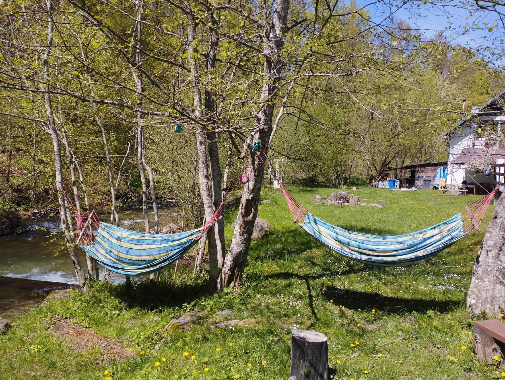 Complex Adela Transfagarasan Villa Cîrţişoara Dış mekan fotoğraf