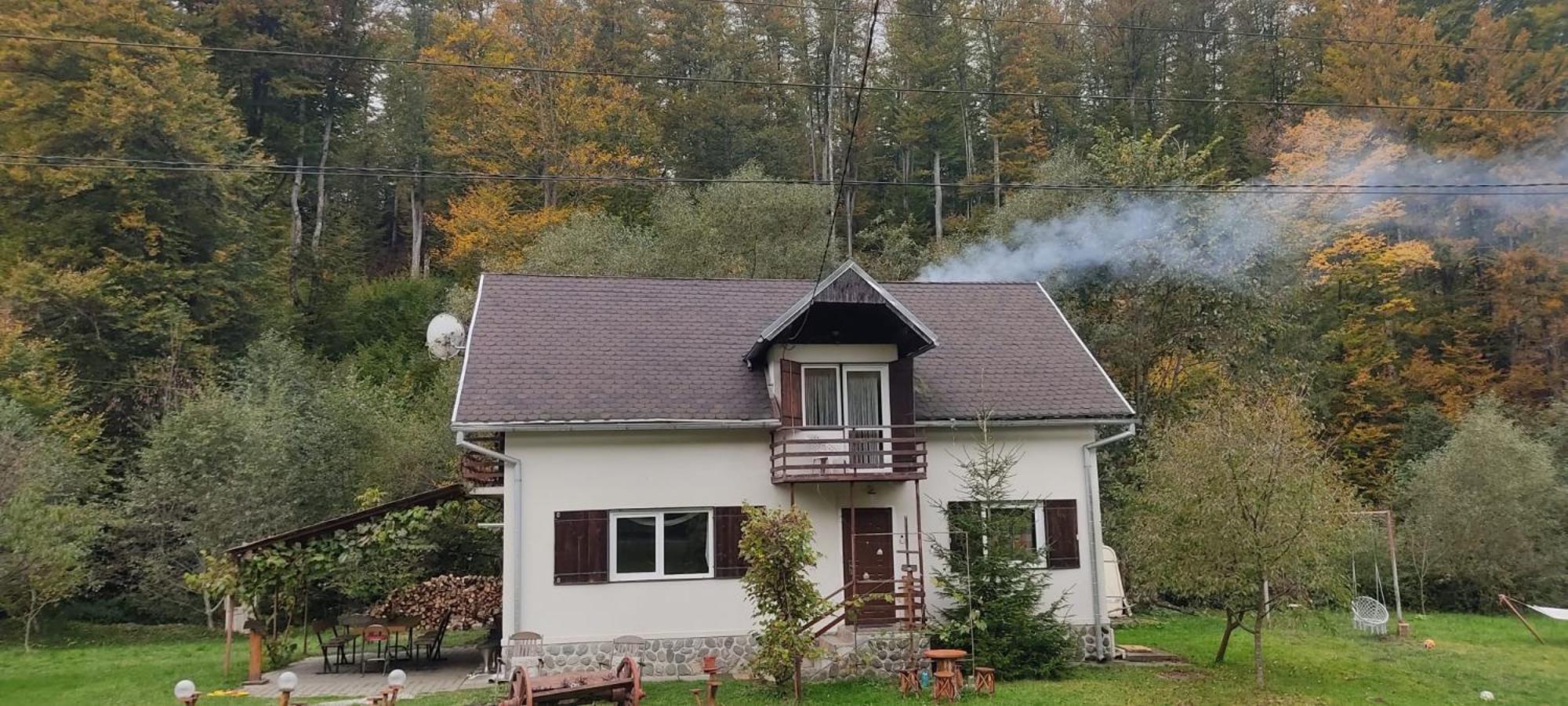Complex Adela Transfagarasan Villa Cîrţişoara Dış mekan fotoğraf