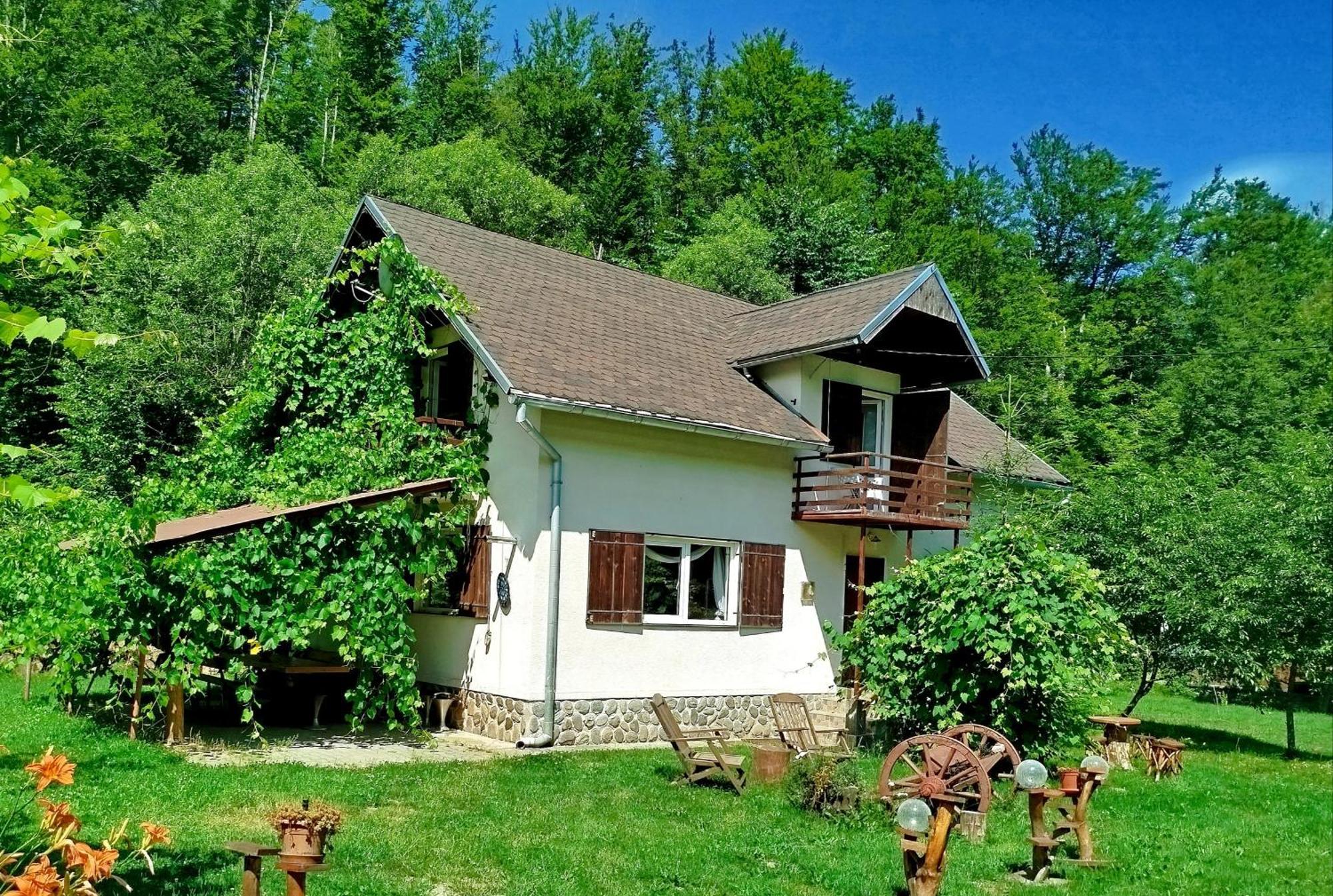 Complex Adela Transfagarasan Villa Cîrţişoara Dış mekan fotoğraf