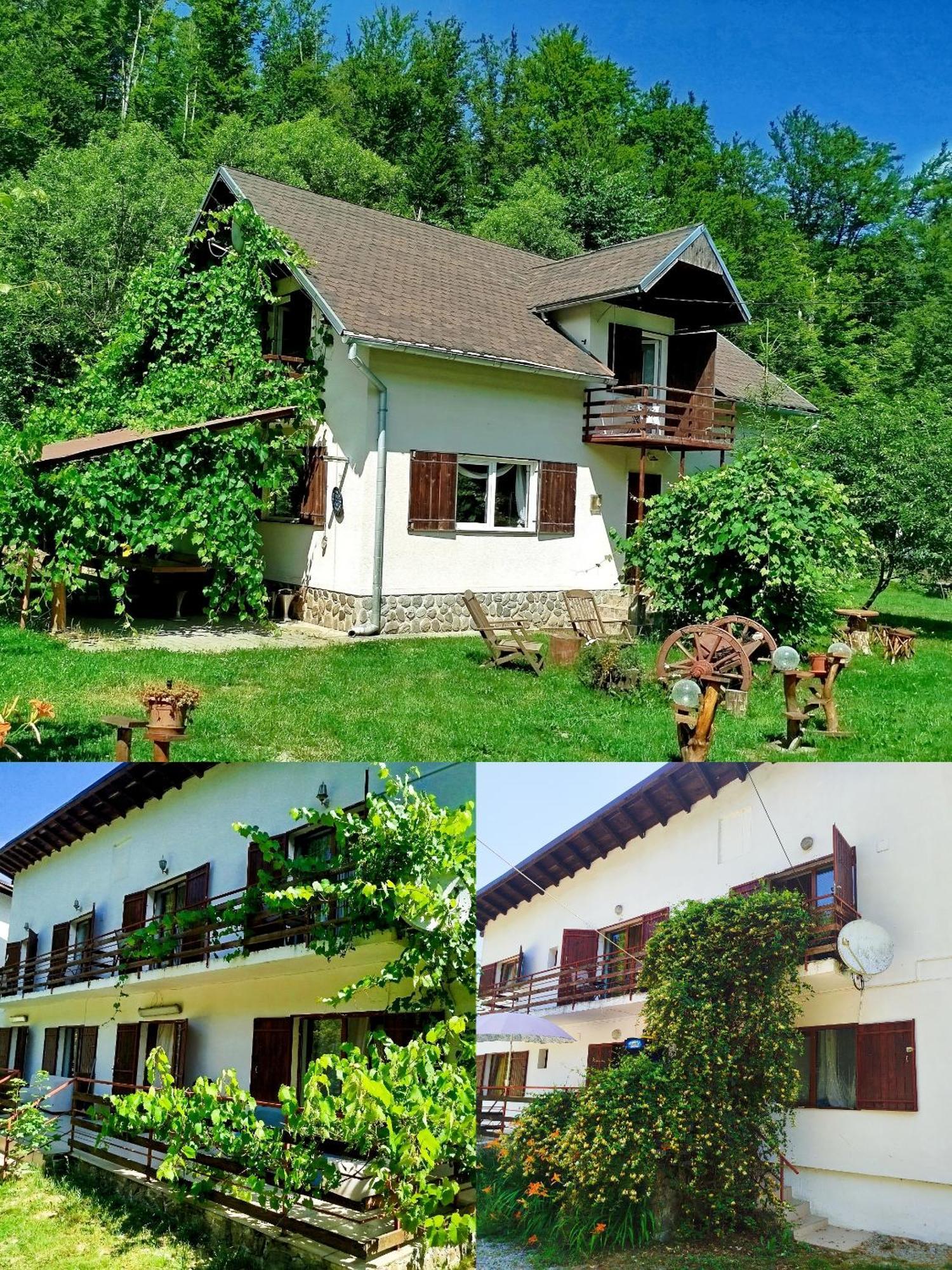Complex Adela Transfagarasan Villa Cîrţişoara Dış mekan fotoğraf