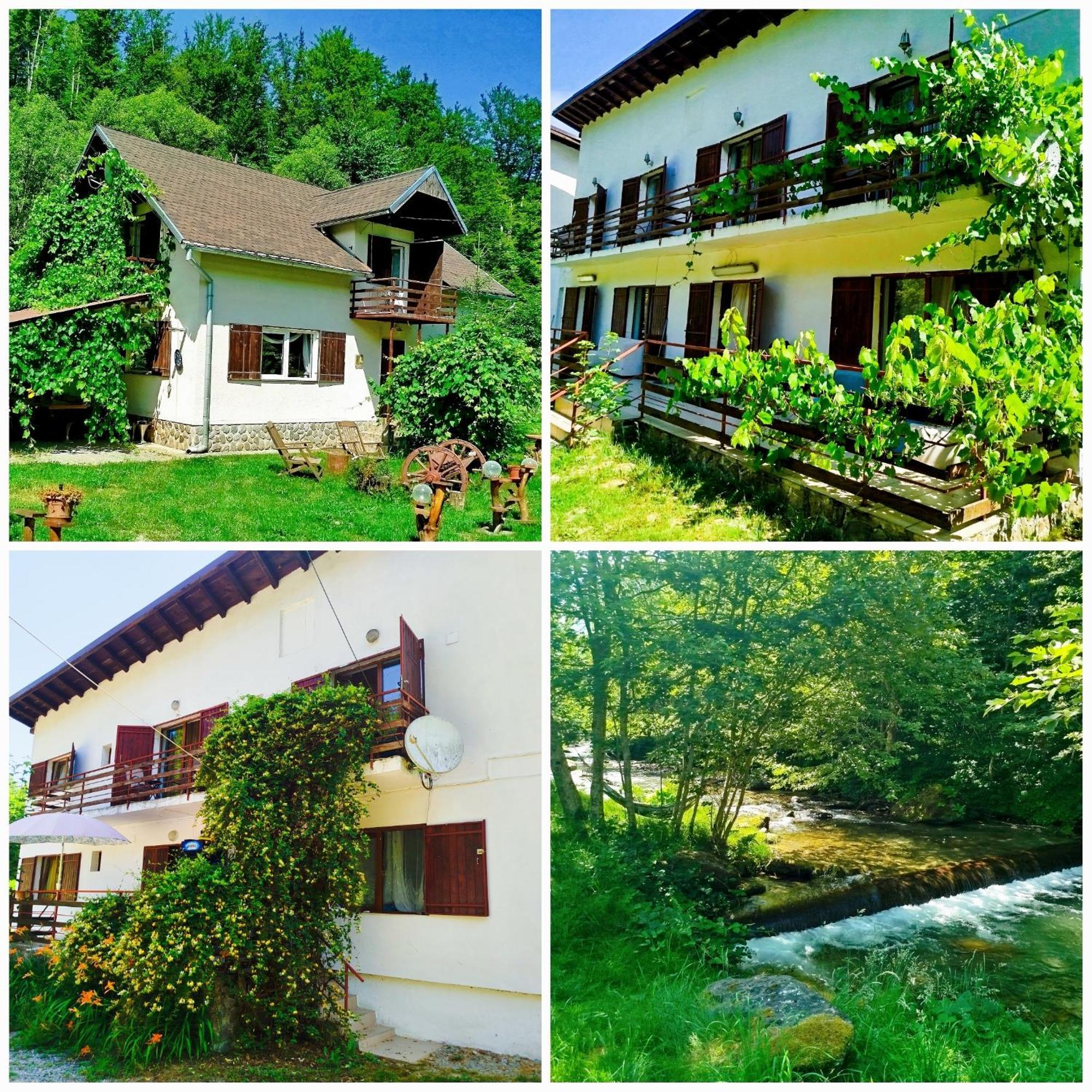 Complex Adela Transfagarasan Villa Cîrţişoara Dış mekan fotoğraf