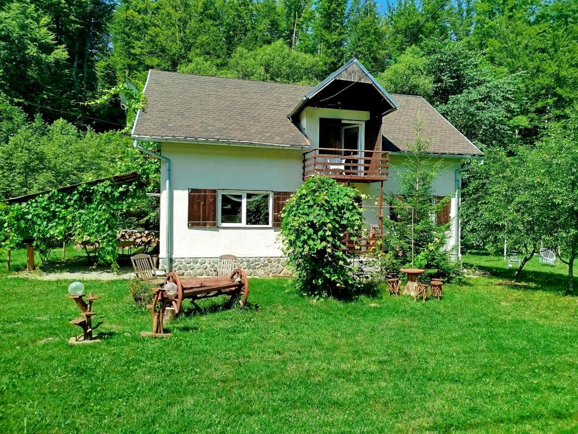 Complex Adela Transfagarasan Villa Cîrţişoara Dış mekan fotoğraf