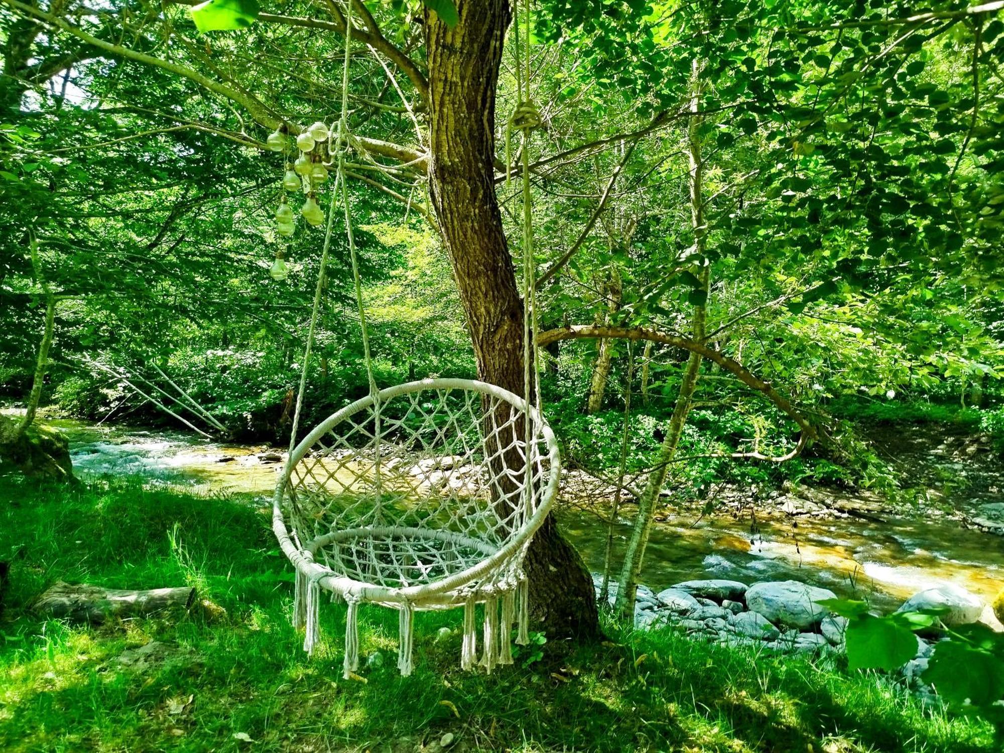 Complex Adela Transfagarasan Villa Cîrţişoara Dış mekan fotoğraf
