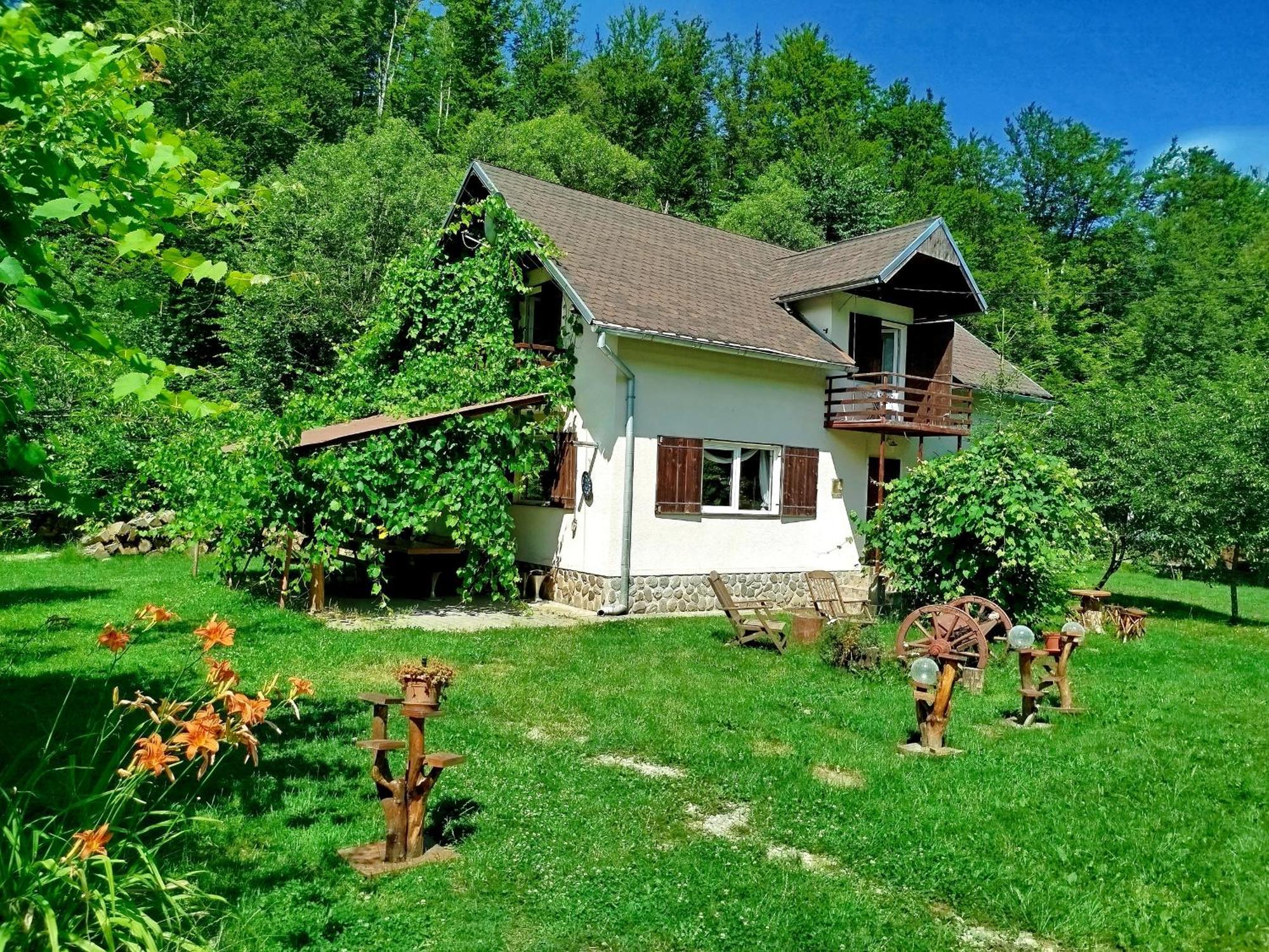 Complex Adela Transfagarasan Villa Cîrţişoara Dış mekan fotoğraf