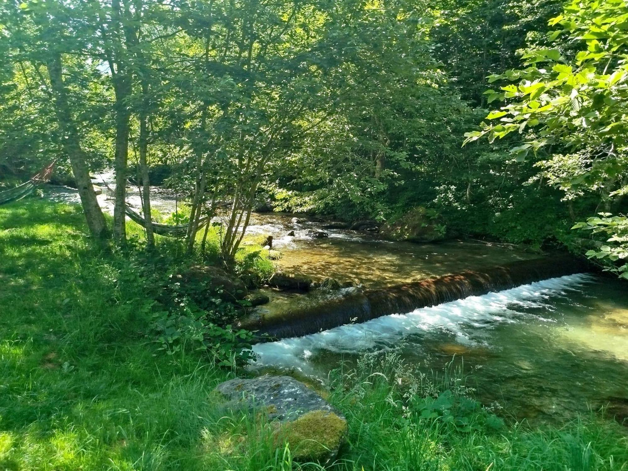 Complex Adela Transfagarasan Villa Cîrţişoara Dış mekan fotoğraf