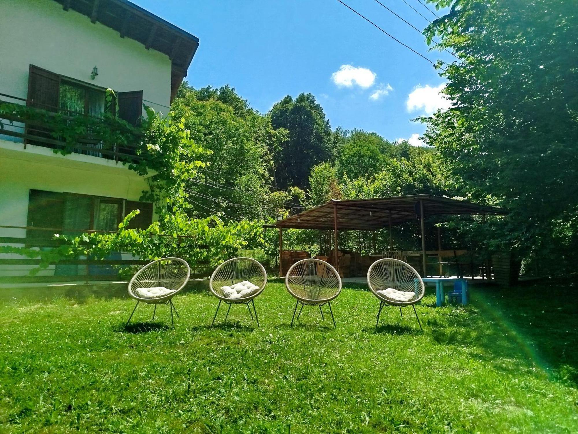 Complex Adela Transfagarasan Villa Cîrţişoara Dış mekan fotoğraf