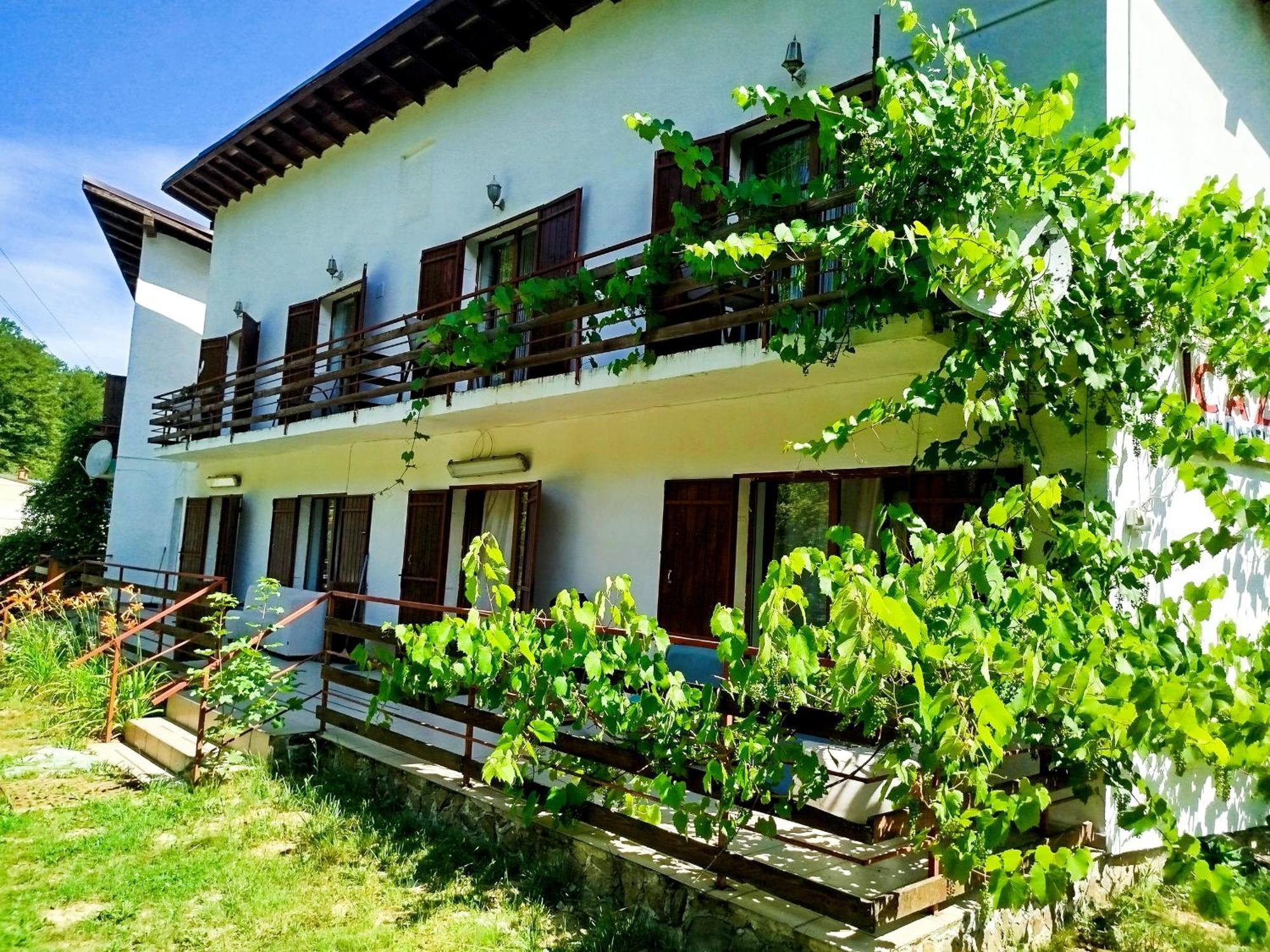 Complex Adela Transfagarasan Villa Cîrţişoara Dış mekan fotoğraf