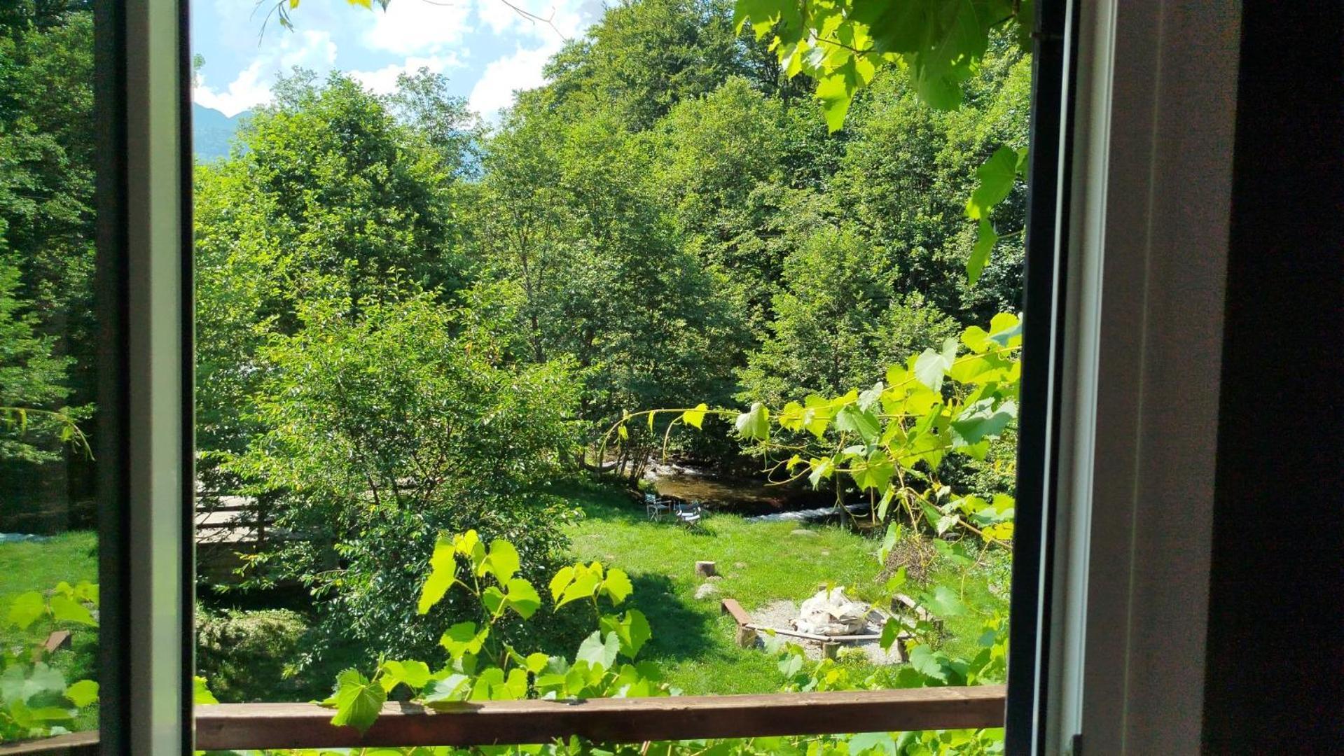 Complex Adela Transfagarasan Villa Cîrţişoara Dış mekan fotoğraf