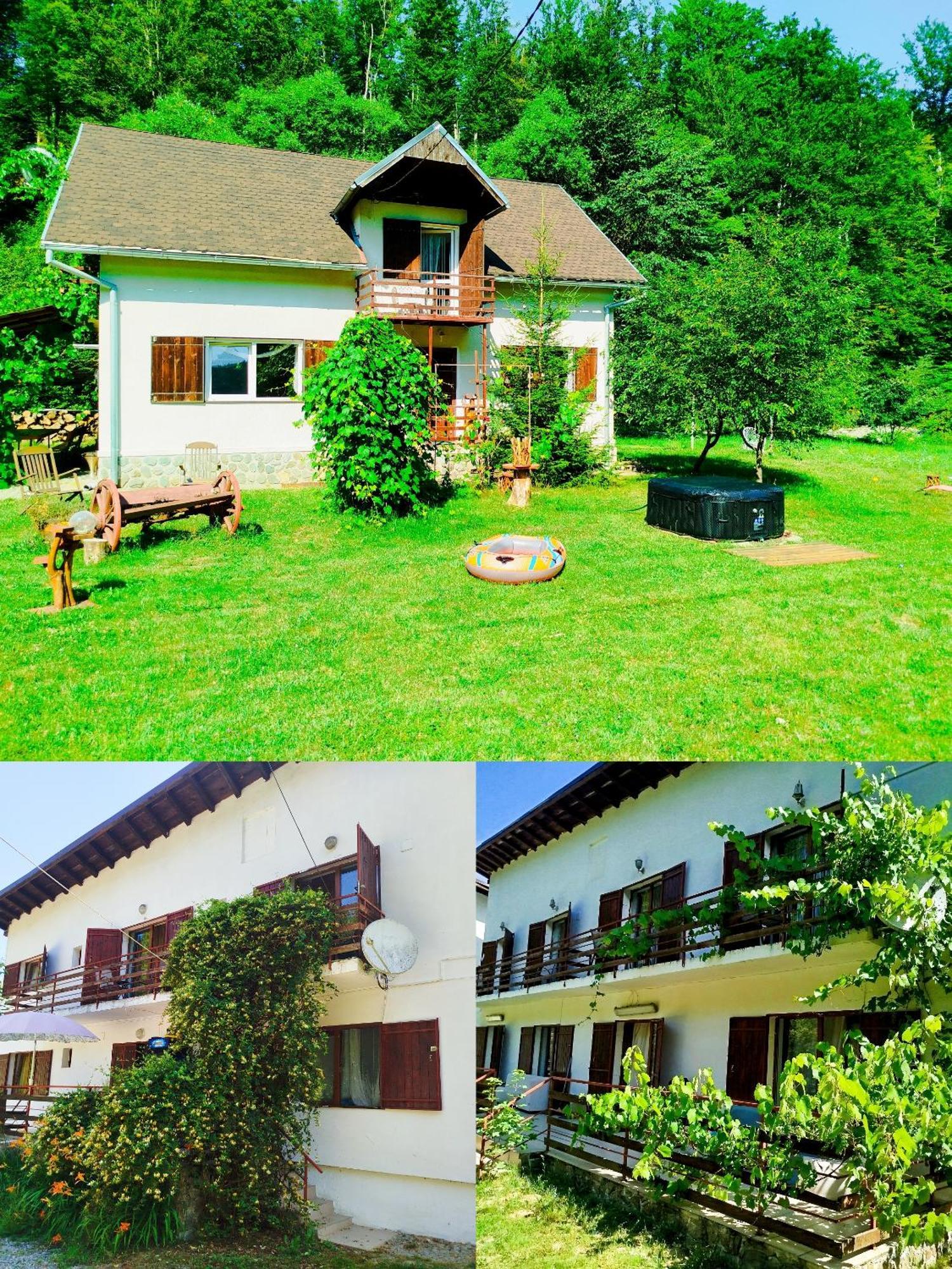 Complex Adela Transfagarasan Villa Cîrţişoara Dış mekan fotoğraf