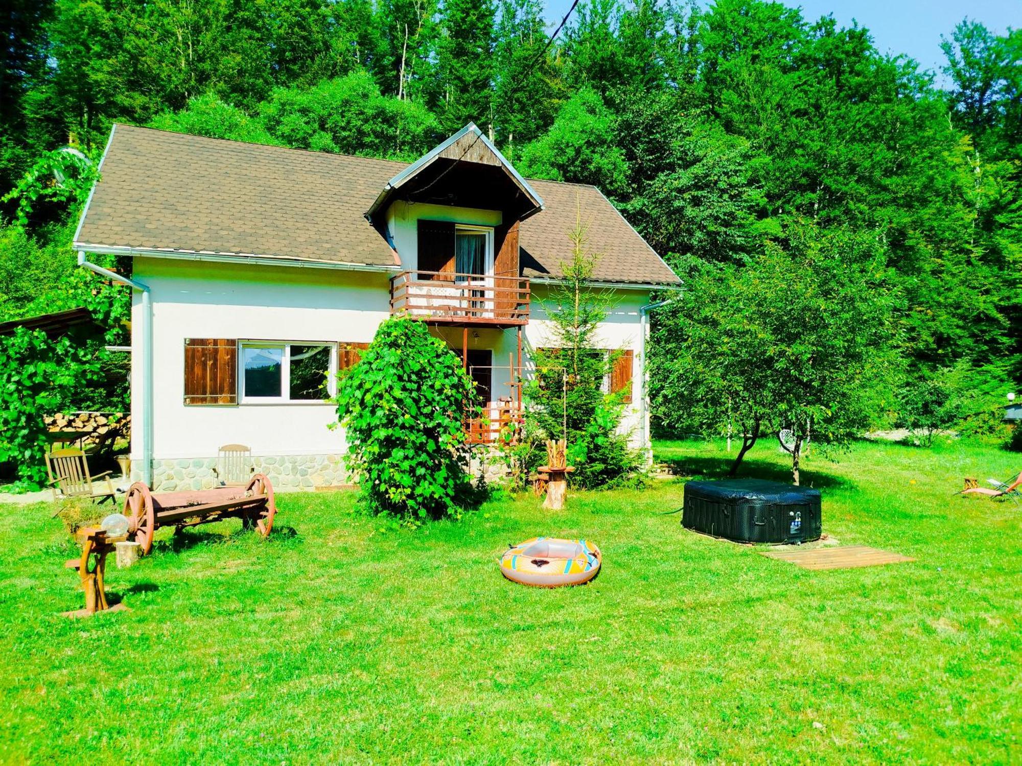 Complex Adela Transfagarasan Villa Cîrţişoara Dış mekan fotoğraf